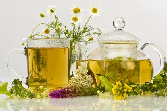 decocción de herbas como un antibiótico natural para a prostatite